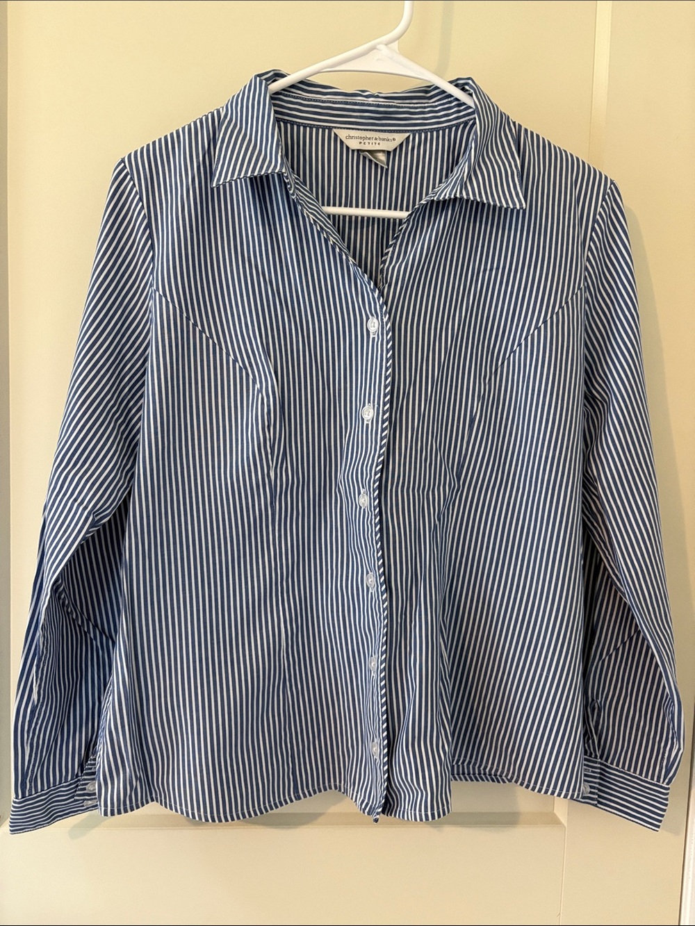 Women’s Christopher & Banks Navy and White Vertical Stripe Button-Down